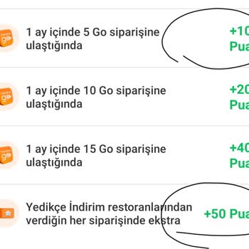 Trendyol GO'da Puan Yansıma Sorunu