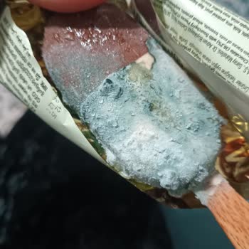 Tarihi Geçmemiş Dondurmada Küf Ve Kötü Koku Şoku