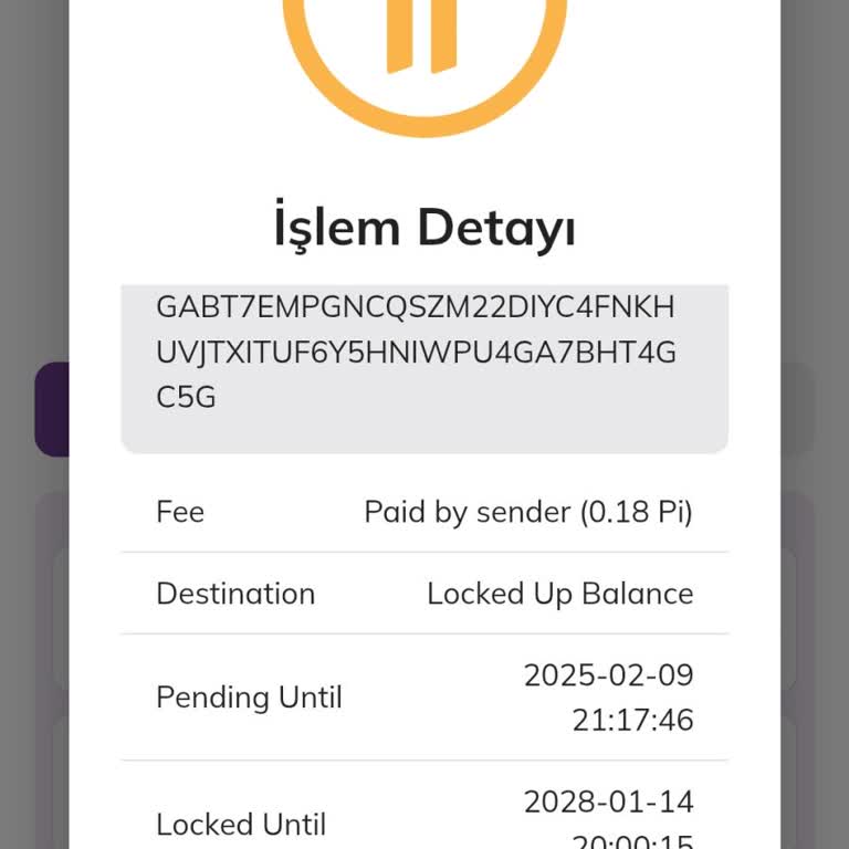 Pi Network Kilit Sorunu: Mağduriyet Ve Çözüm Beklentisi