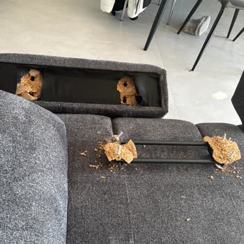 Ergül Mobilya'dan Alınan Koltukta Servis Sorunu