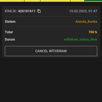 Holeyy.com Kazancımı Ödemedi!