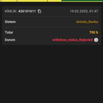 Holeyy.com Kazancımı Ödemedi!