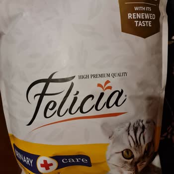 Felicia Mama Renk Ve Koku Sorunu