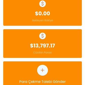 Kişisel Bilgilerin Korunması Konusunda Endişe