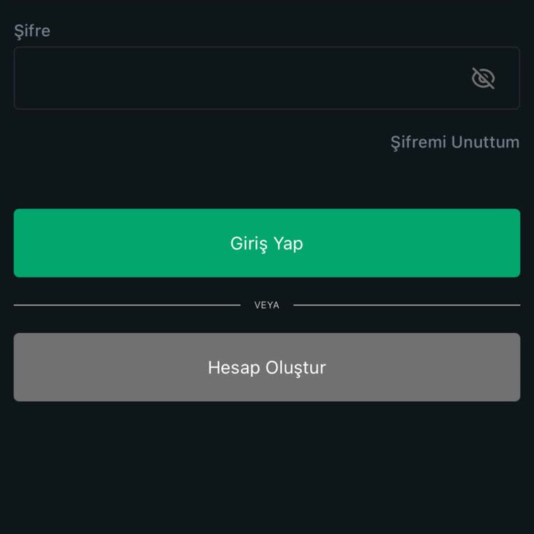 Bitci Platformuna Giriş Sorunu Ve Destek Eksikliği