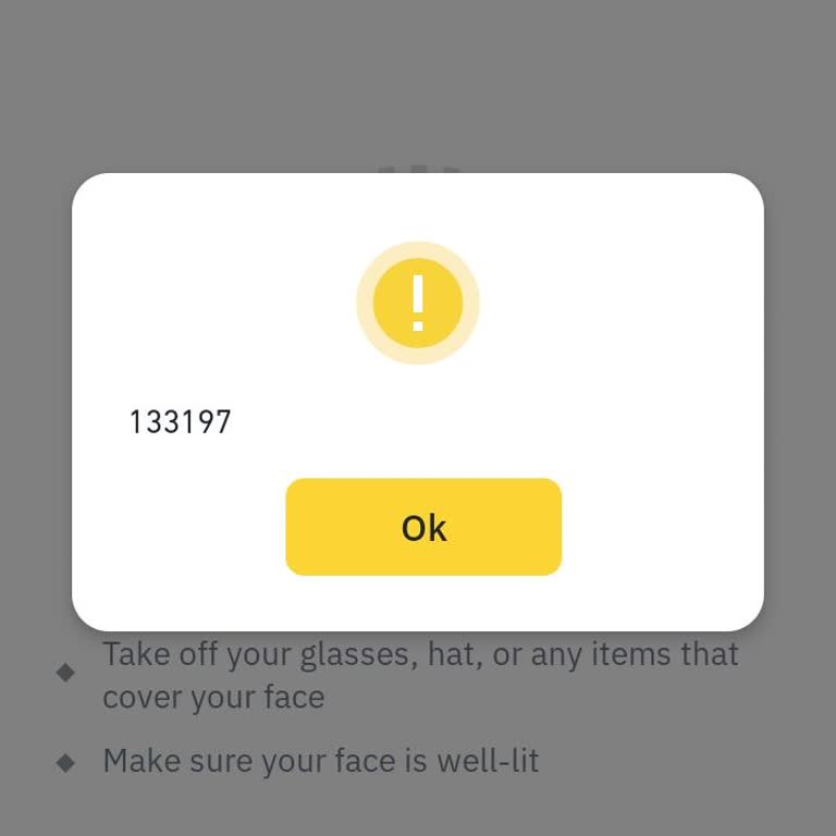 Binance Verification Problem Error Code 133197