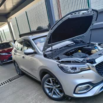 2023 MG HS Burning Oil at 14,000 km—No Solution from Service