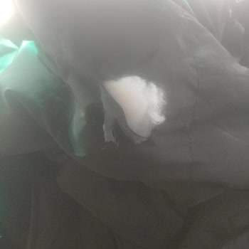 Otobüs Kaosu Ve Zarar Gören Eşyalar