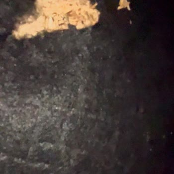Kelebek Mobilya'da Hizmet Fiyaskosu: 3 Haftadır Çözüm Yok