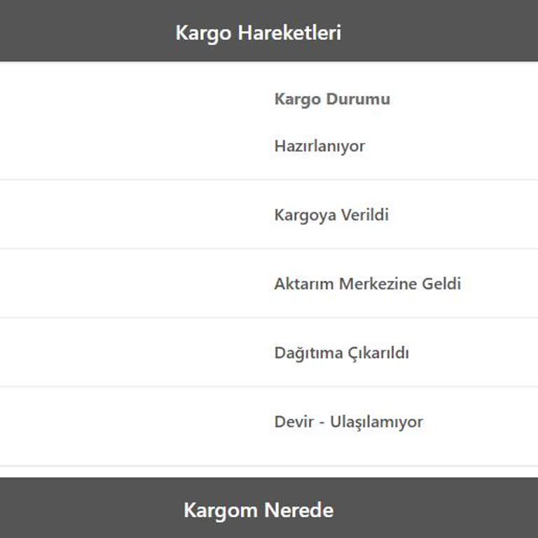 Stradivarius Kargo Teslimat Sorunu: Ulaşılamayan Adres?