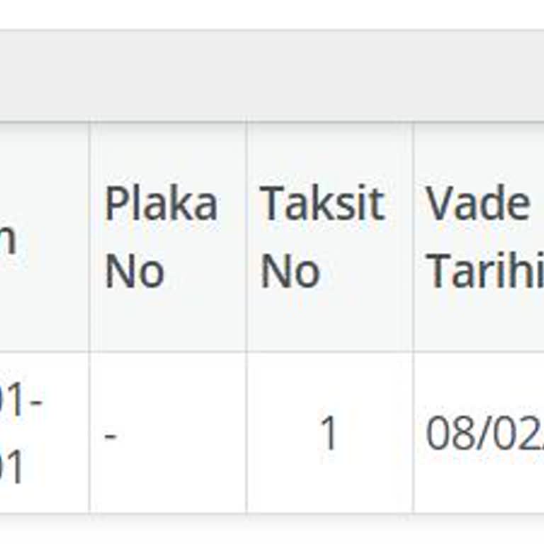 Martı Kullanımı Nedeniyle Haksız Trafik Cezası Ve İade Sürecindeki Zorluklar