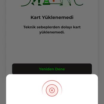 Giriş Sorunu Ve Güvenlik Endişesi