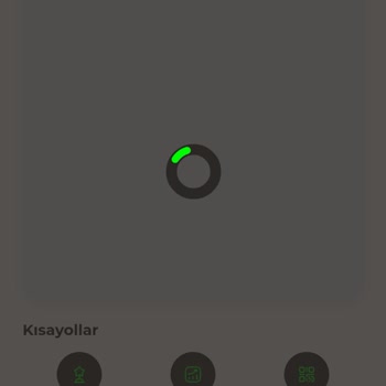 Giriş Sorunu Ve Güvenlik Endişesi