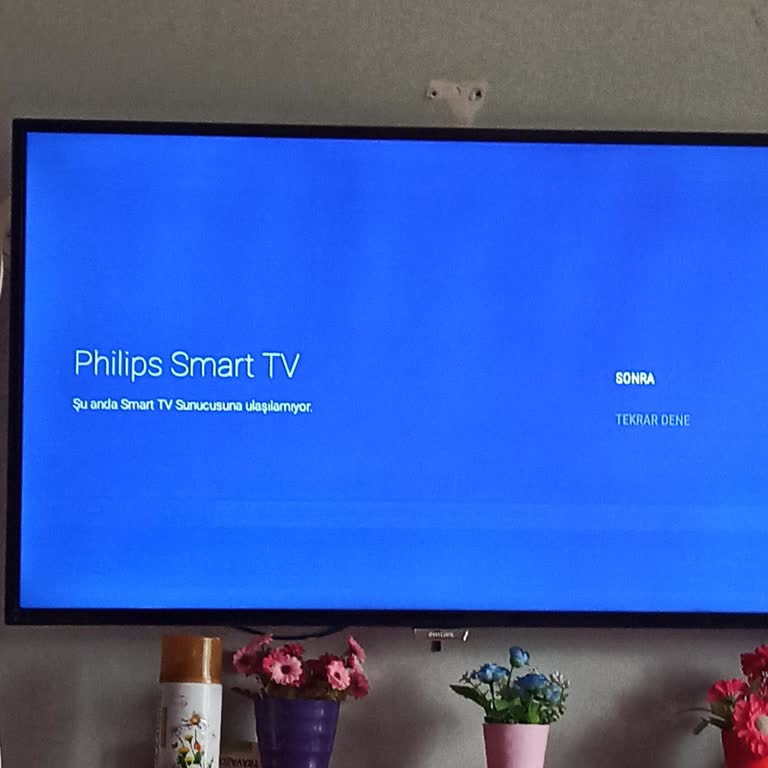 Philips TV Ünlü Markanın TV Sorunu