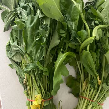 Sarıyer'de Mopas'tan Siparişler Neden Sürekli Hayal Kırıklığı?