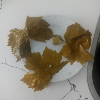 Bahçe Ürünleri Teslimatıyla İlgili Müşteri Memnuniyetsizliği