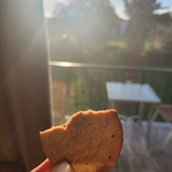 Ülker Mcvitie's Bisküvisinde Üretim Hatası: Kıl Çıkması