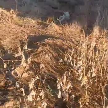 Tehlike Altındaki Çocuklar: Acil Müdahale Gerekiyor!