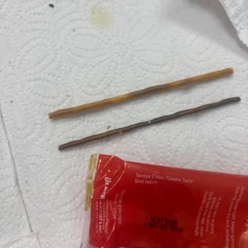 Yanmış Krakerler Çocukların Keyfini Kaçırıyor