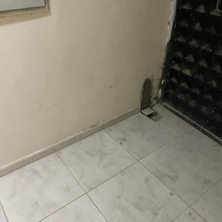 Saç Ekimi Hayal Kırıklığı: Yanlış Ekim Ve Açık Bölgeler