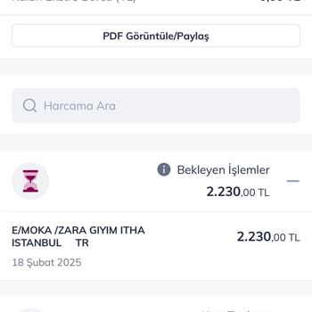 Zara'dan Bilgim Dışında Yapılan Alışveriş Şoku