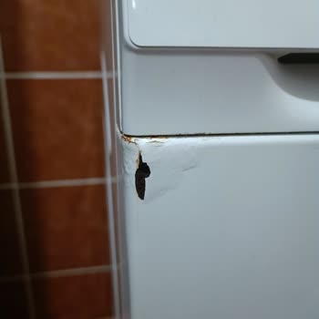 Siemens Washing Machine & Fridge Rusting in 2 Years – No Warranty Coverage