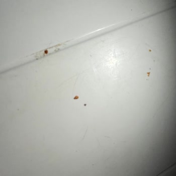 Kullanılmış Ürün Ve İade Sürecindeki İlgisizlik