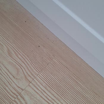 Beko Çamaşır Makinesi: Sürekli Toz Sorunu Ve Sağlık Tehditleri