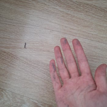 Beko Çamaşır Makinesi: Sürekli Toz Sorunu Ve Sağlık Tehditleri