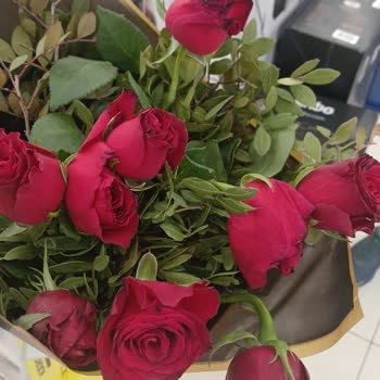 Solmuş Güller Ve Yetersiz Hizmet: Para İadesi Talebi