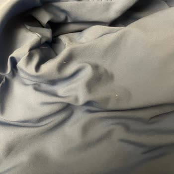 Lacoste Down Jacket Shedding Feathers – Refund Request Denied