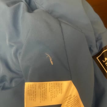 Lacoste Down Jacket Shedding Feathers – Refund Request Denied