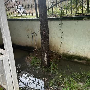 Kocaeli'de Rögar Taşması: 10 Gündür Çözüm Bekliyoruz