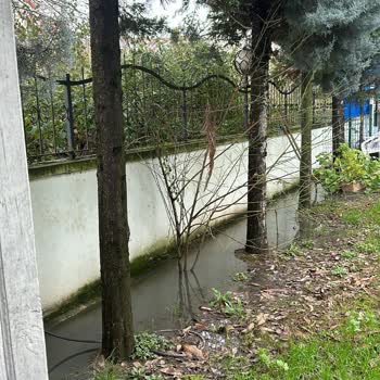 Kocaeli'de Rögar Taşması: 10 Gündür Çözüm Bekliyoruz