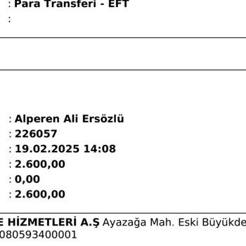 Güvenlik Açığı: Papel Hesabımdan Para Çekildi