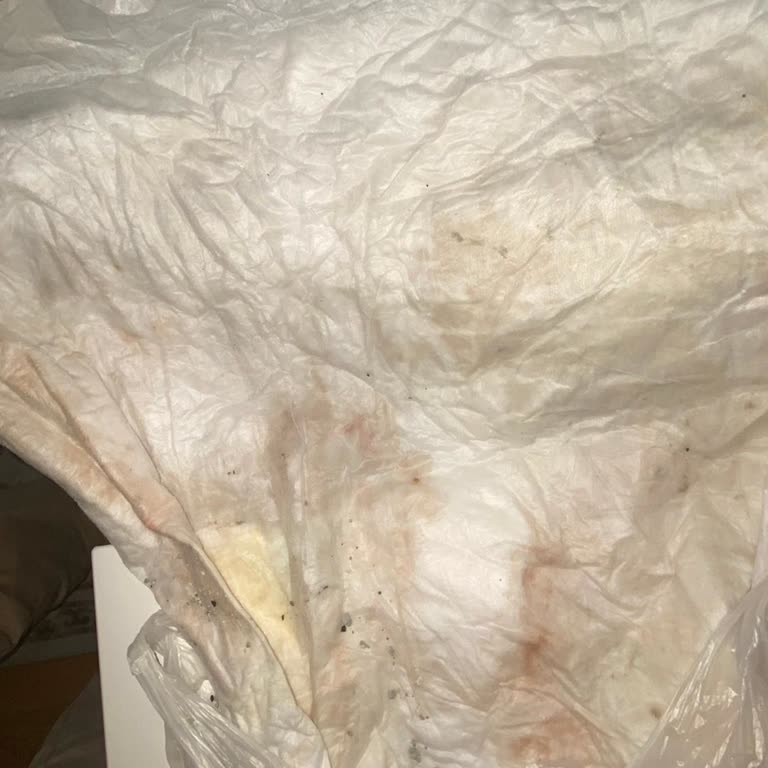 Veterinerde Yetersiz Hizmet Ve İlgisizlik