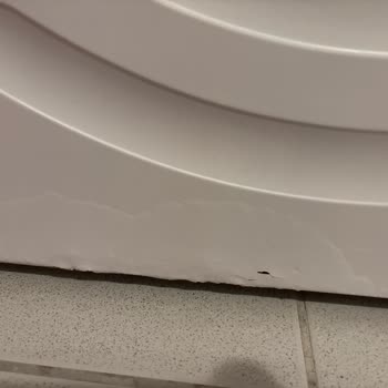 Bosch Washing Machine Paint Peeling – Denied Warranty