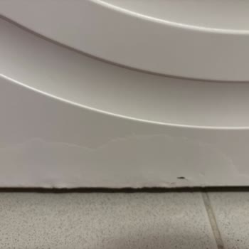 Bosch Washing Machine Paint Peeling – Denied Warranty