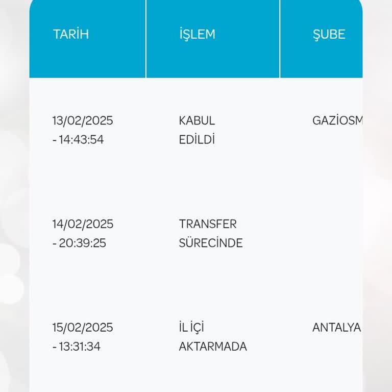 PTT Kargo'nun Geciken Teslimatı