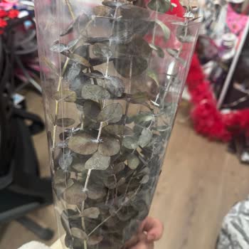 Sevgililer Günü İçin Sipariş Ettiğim Ürünler Hüsranla Sonuçlandı