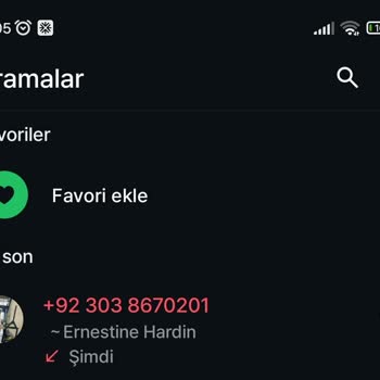 Yabancı Numaradan Gelen Şüpheli Arama Ve Güvenlik Endişesi