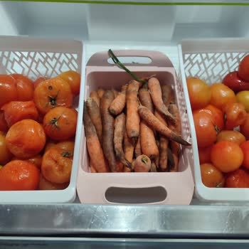 Bosch Buzdolabında Bitmeyen Arızalar Ve Hayal Kırıklığı