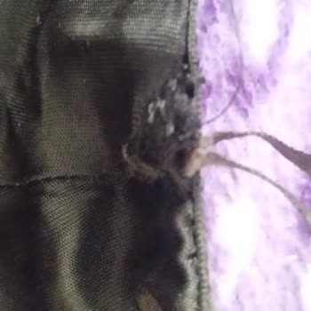 Defolu Ürün Ve İade Sorunu