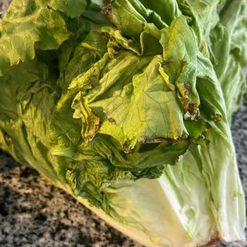 Migros Sanal Market'te Kalite Düşüşü Ve Hayal Kırıklığı