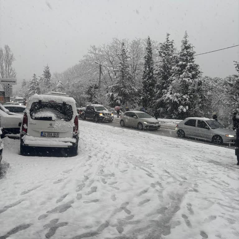 Kar Yağışı Mağduru: Randevu İptalinde Anlayışsızlık