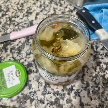 A101 Turşu Kavanozundan Çıkan Arı Şoku