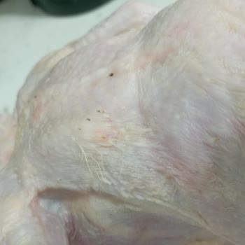 BİM'den Aldığım Tavuk Ürünü Kıllı Çıktı