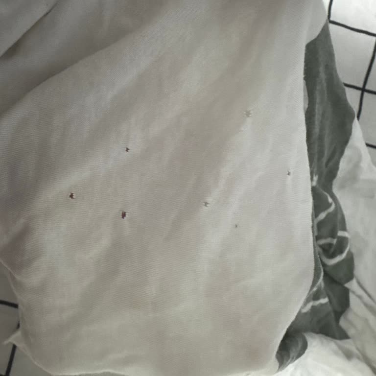 Vestel Çamaşır Makinesi Sorunları Ve İlgisiz Servis