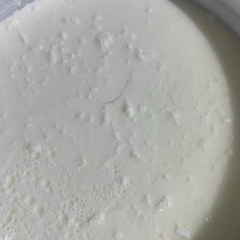 Birşah Yoğurdun Üzerinde Kıl Şoku