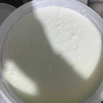 Birşah Yoğurdun Üzerinde Kıl Şoku